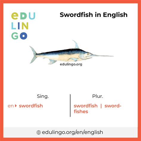 Swordfish in English .